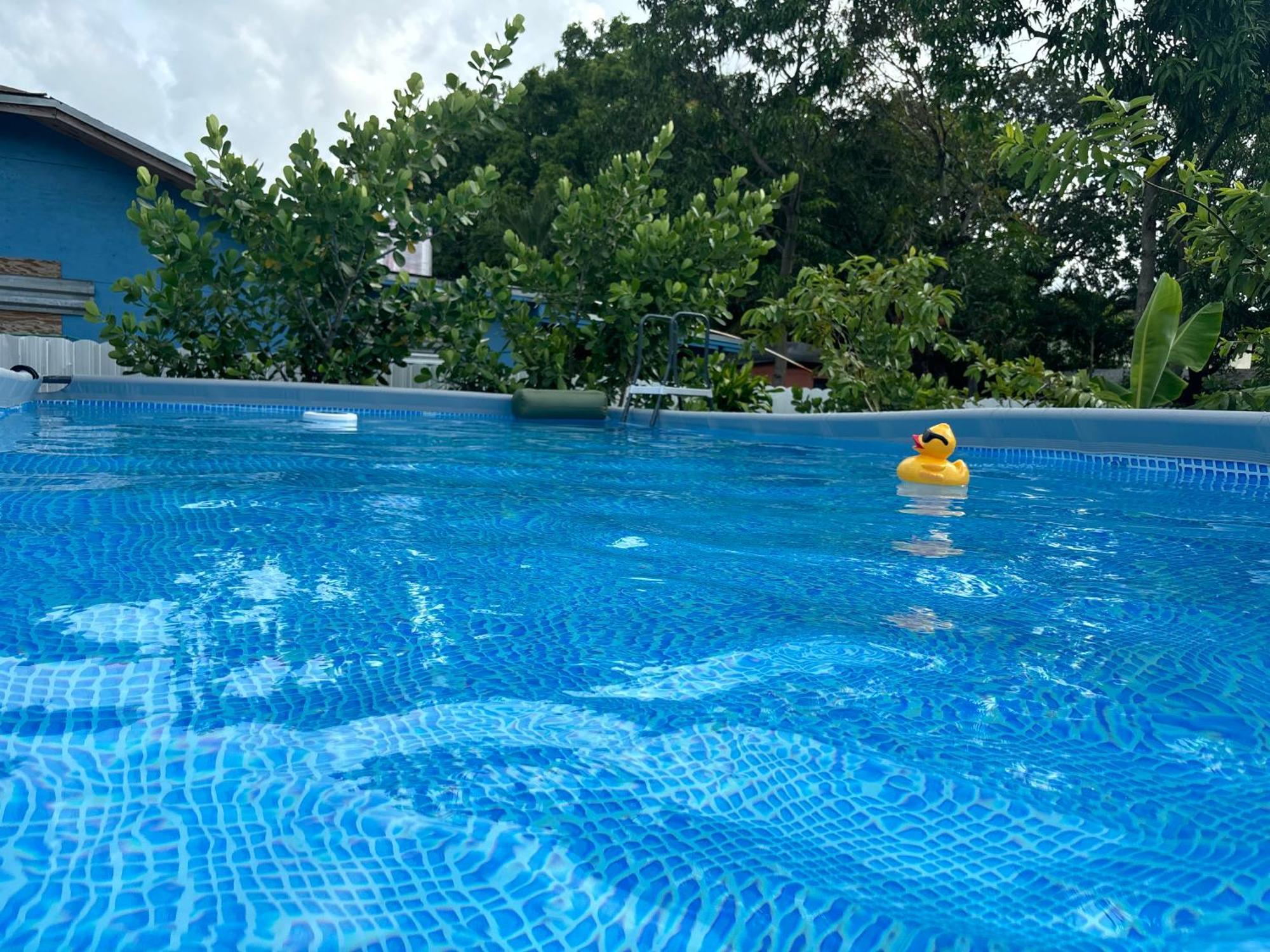 Mini House Oasis Hotell Miami Springs Exteriör bild